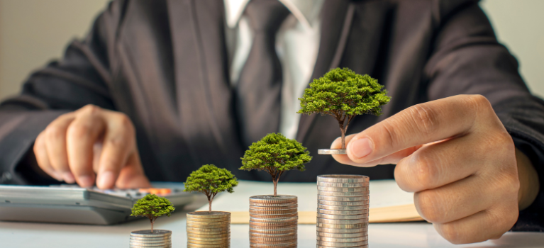 Como funciona o processo de investimento na Anjos do Brasil